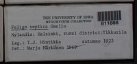 Image Associated With the Occurence